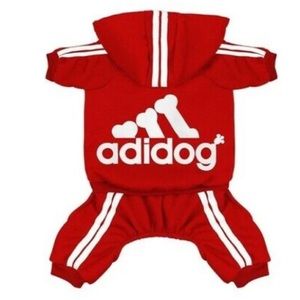 dog track suit